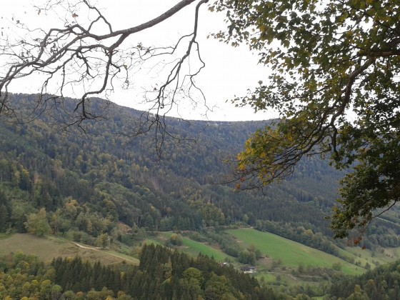 Schwarwald-Abschlusss Forum 2018