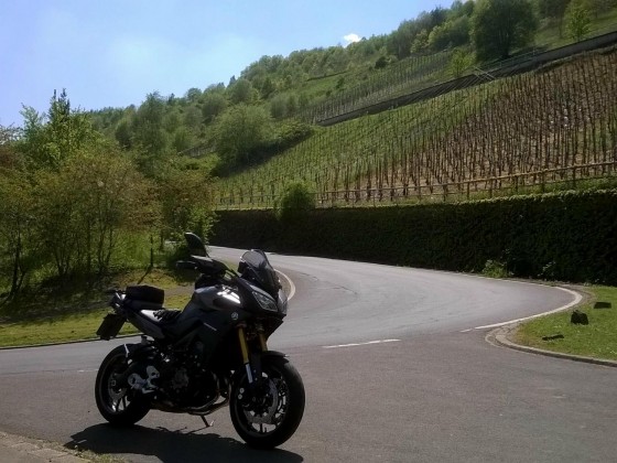 anner Mosel