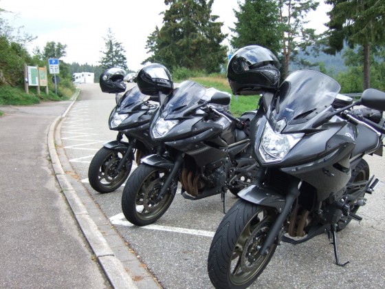 Die Diven ;o)