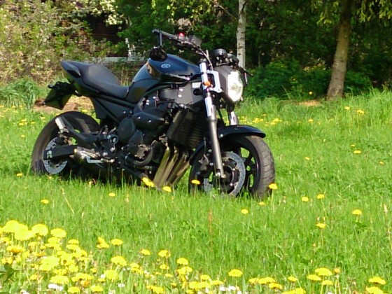 Black Beauty auf de Wiese :D