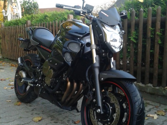 Black Beauty...