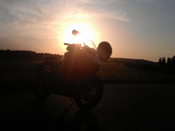 IMAG0956