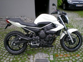 DSCN08780253