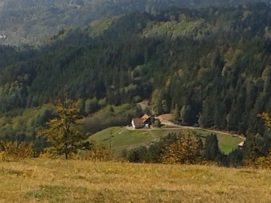 Schwarwald-Abschlusss Forum 2018