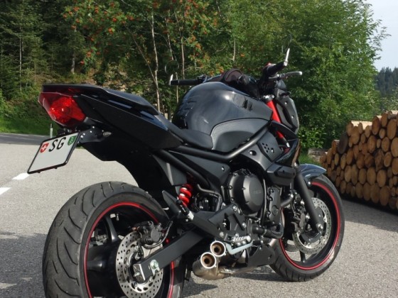 My Black Beauty