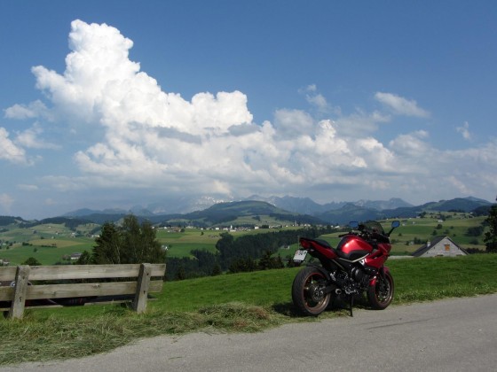 im Appenzeller Land (mit Blick auf den Säntis)