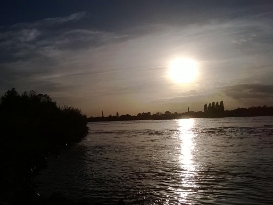 Rhein_2013_10_22