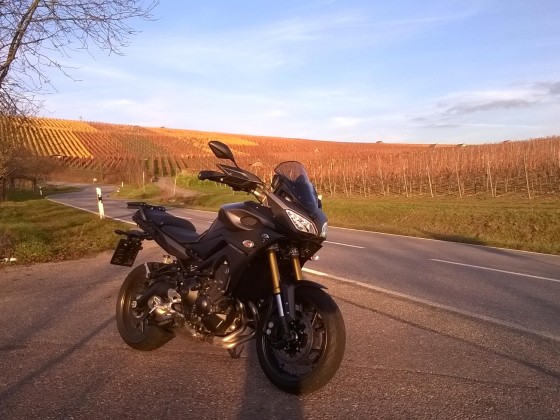 Die Saison nach der Saison
