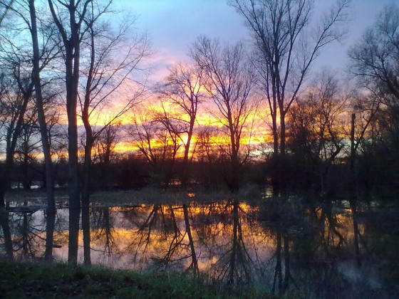 291212Hochwasser