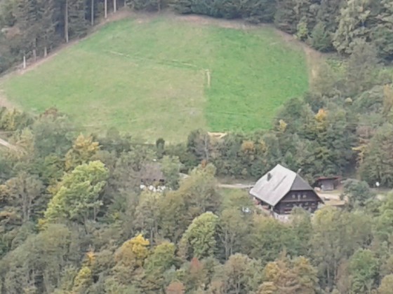 Schwarwald-Abschlusss Forum 2018