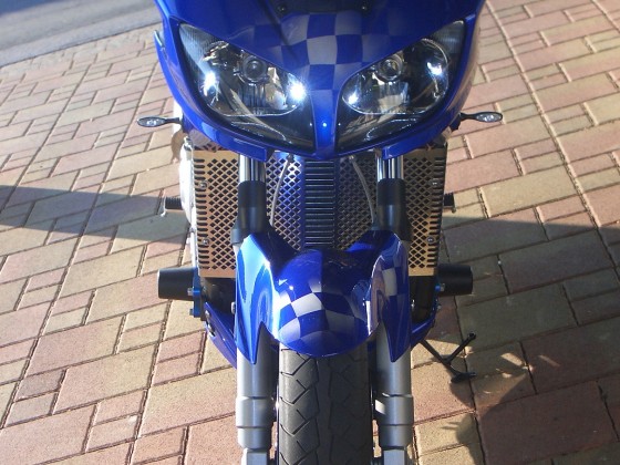 Meine Fazer 1000 von 2002.2004