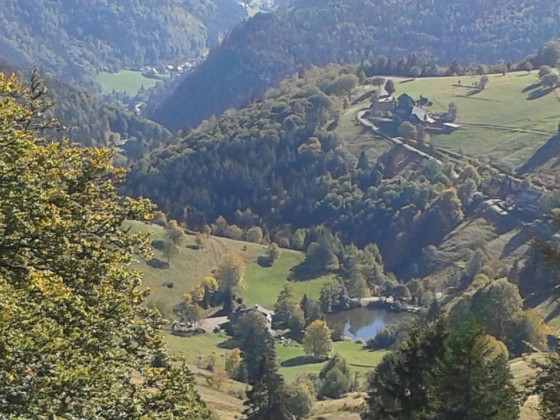 Schwarwald-Abschlusss Forum 2018