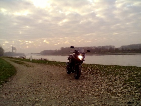 am Rhein im November, kalt und doch schön :-)