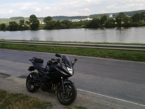 Neckar bei Gundelsheim