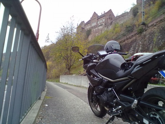 04_11_11_am neckar