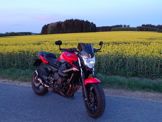 XJ6N1
