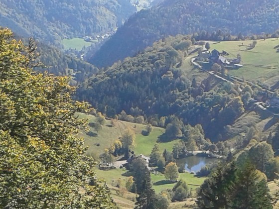 Schwarwald-Abschlusss Forum 2018