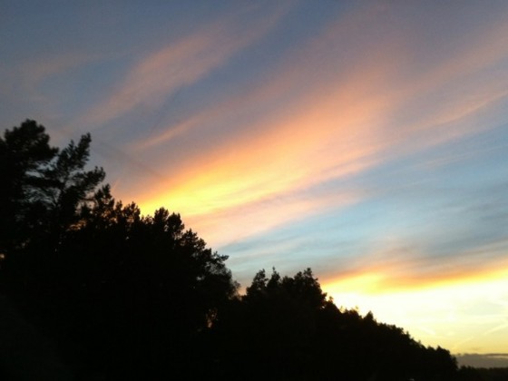 herbstliche Abendsonne