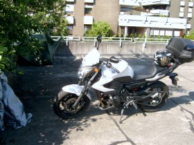 Meine White Lady