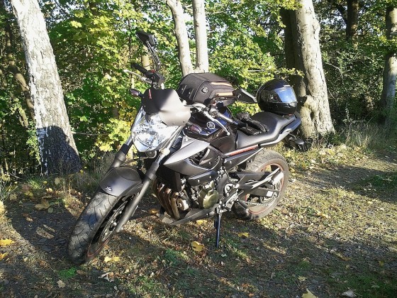 Herbst